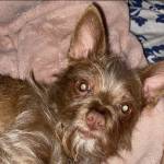 Lil LB Profile Picture